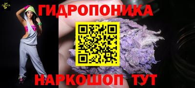 мдпв Гусев