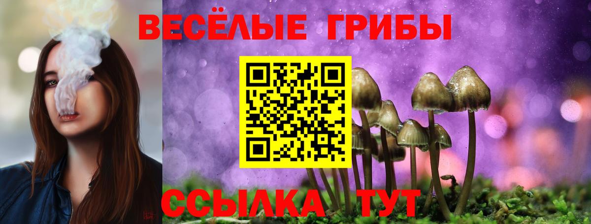 Новоалександровск  Галлюциногенные грибы Psilocybine cubensis  Вход с VPN  Псилоцибиновые грибы Psilocybine cubensis 